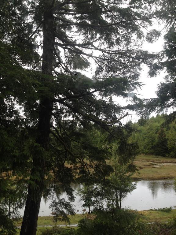 Hyphocus Inn Ucluelet Eksteriør bilde