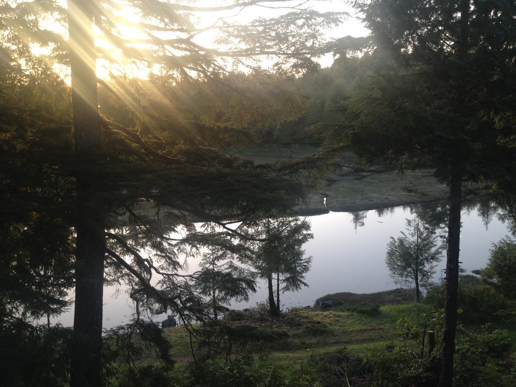 Hyphocus Inn Ucluelet Rom bilde